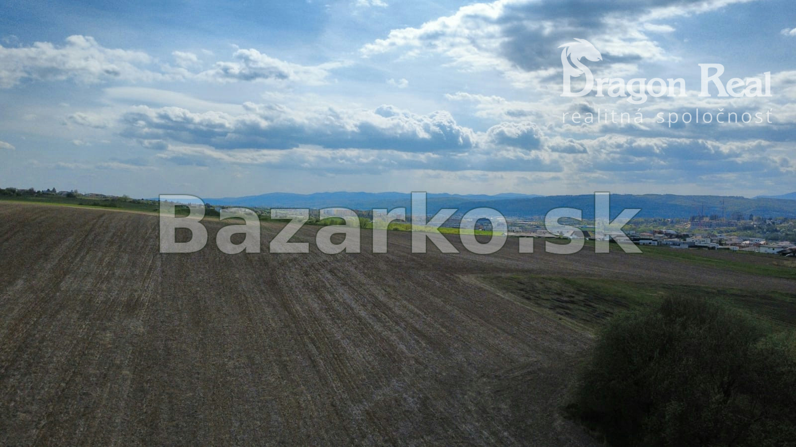 Fotografia 7
