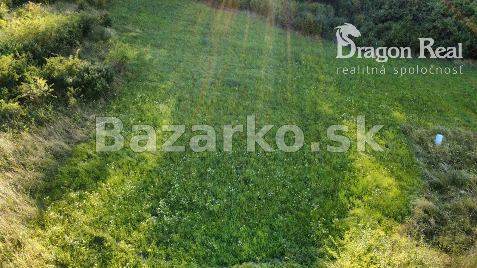 Fotografia 7