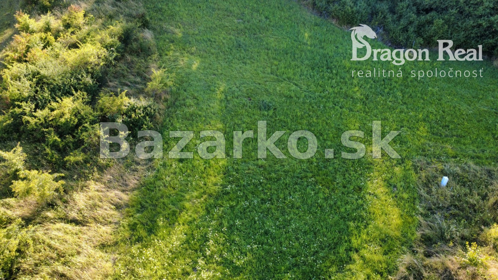 Fotografia 9