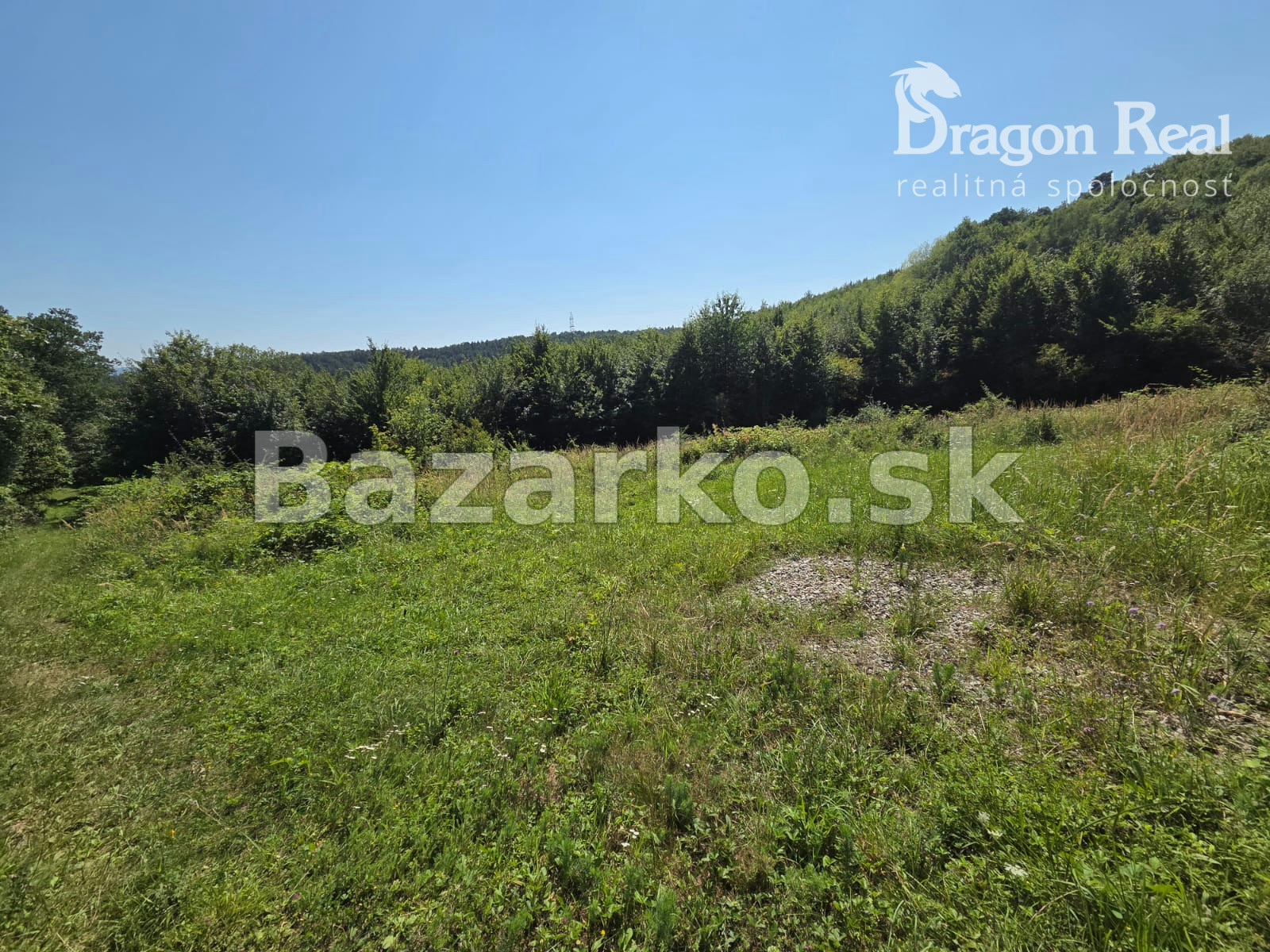 PREDAJ - Rekreačný pozemok 6694m2 - FINTICE