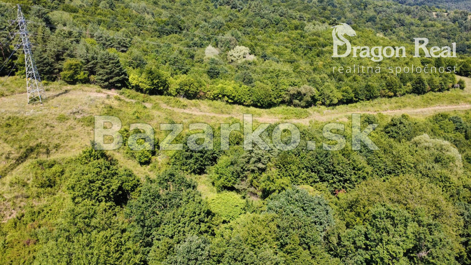 PREDAJ - Rekreačný pozemok na rekreačnú chatu 5963 m2 - FINTICE