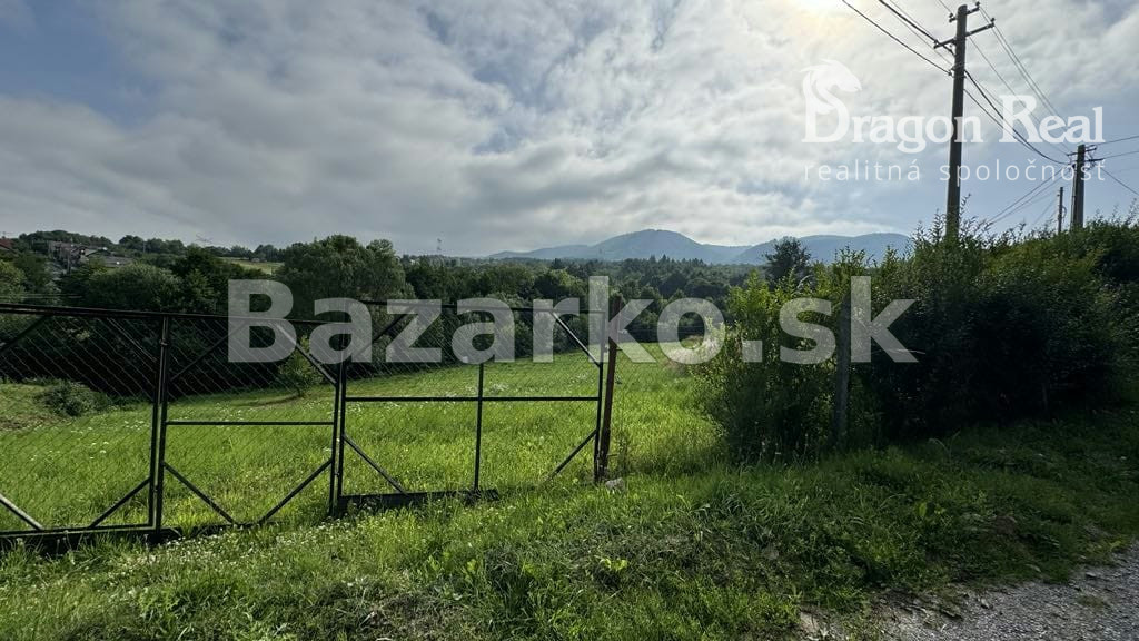 Fotografia 7